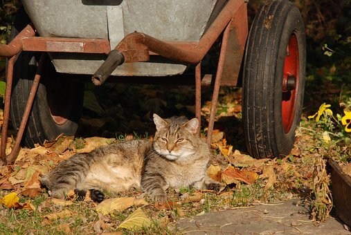мы ждем работников