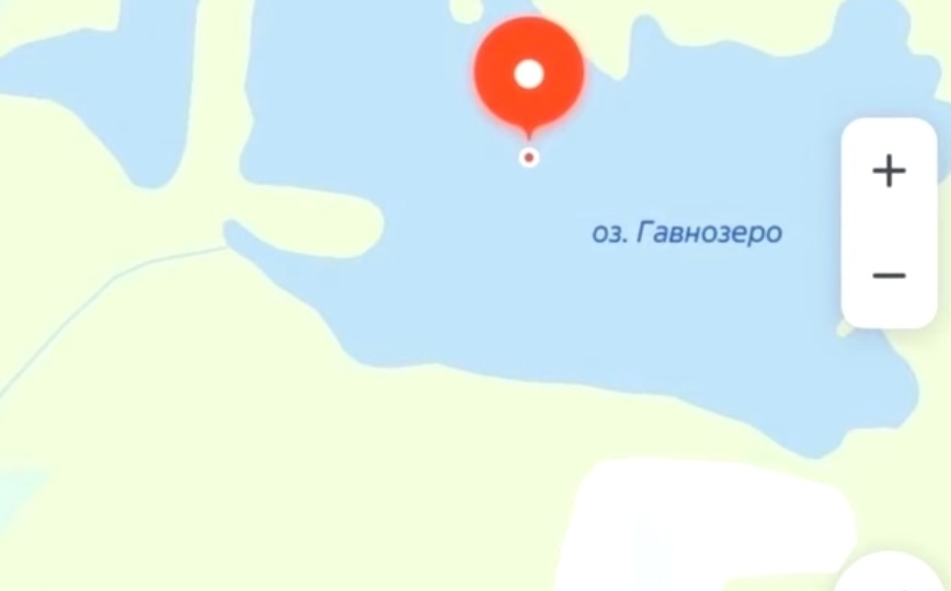 Мемы на сегодня #15