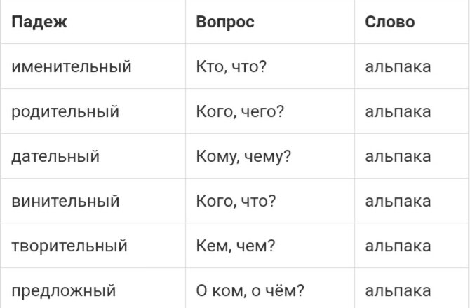 Что в единственном, что во множественном числе.