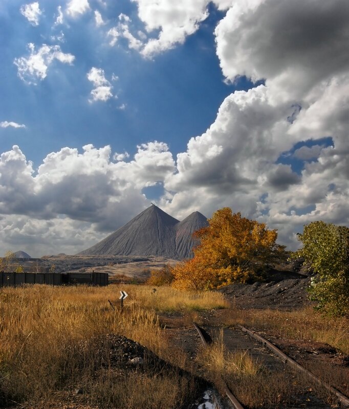 Фото из открытого источника Яндекс 