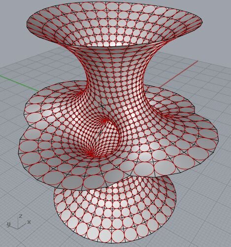 Источник: https://i.pinimg.com/736x/44/f0/00/44f0006c5838efa7397666de070fc01c--grasshopper-rhino-kangaroo.jpg