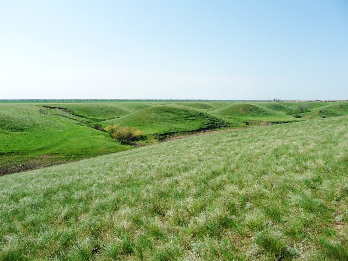 Степей калмык. Село Никольское Алтайский край. Ганчинский район горы возле Никольского. Фото природы Никольского района.