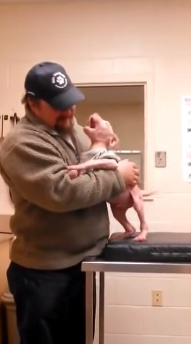 Щенок со своим спасителем