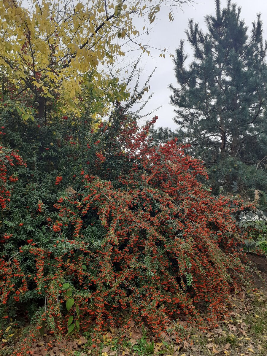Личная фотография