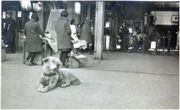 Хатико на станции