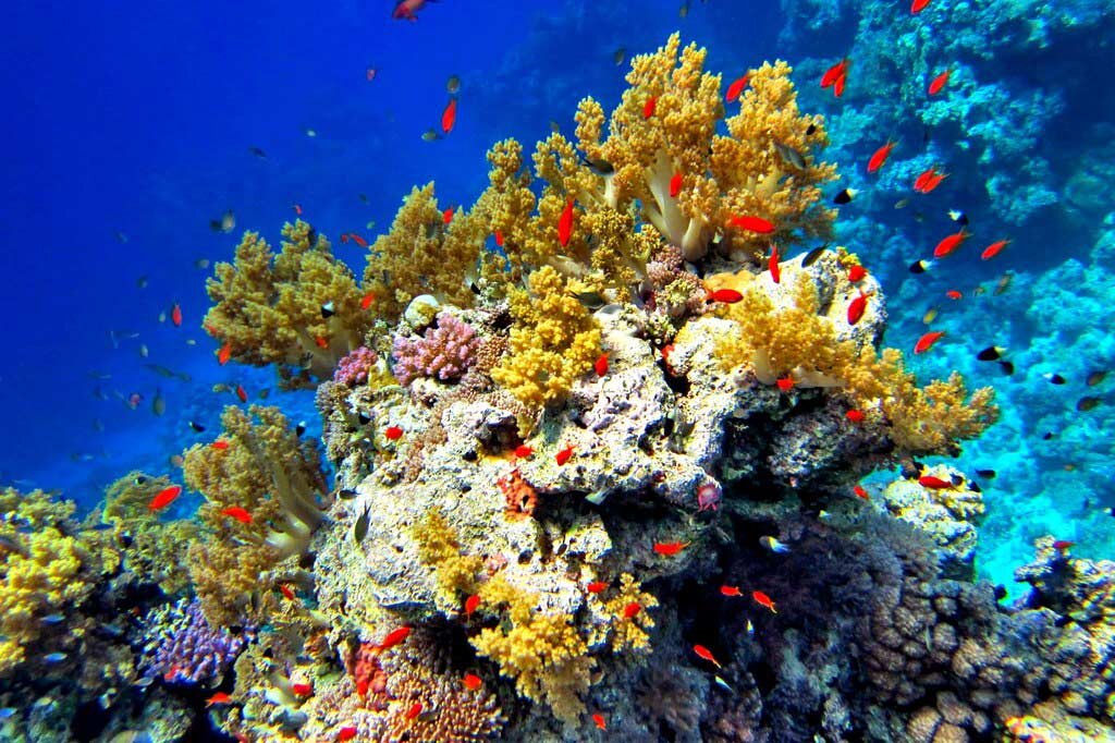 фото из инета