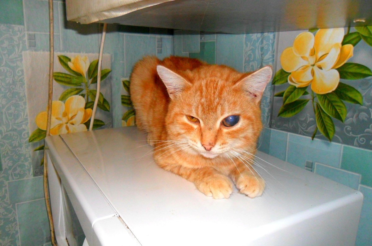 Фото автора.