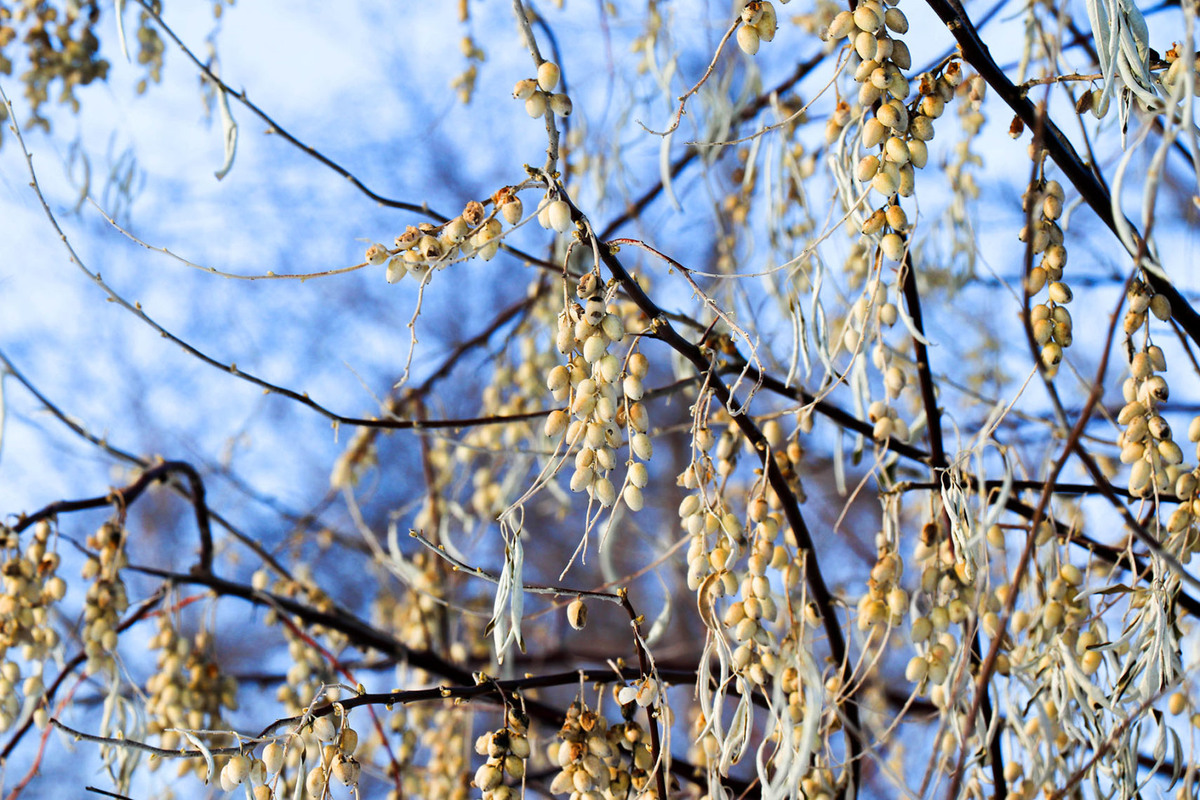 Фото: Динара Воронцова