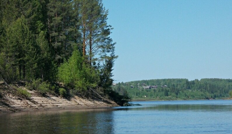 Деревня Кривцы фото из открытых источников