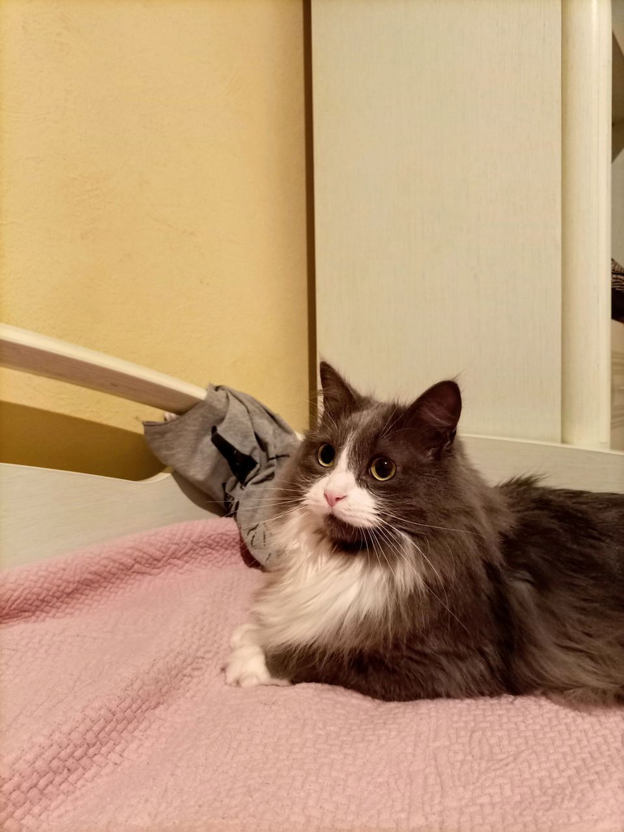 Тарас не готов позировать в таких условиях