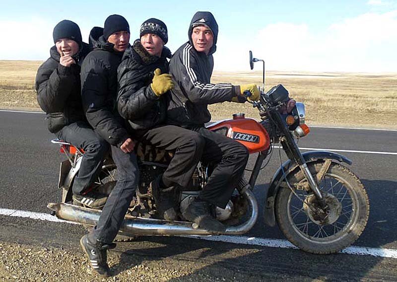 Медведь на Яве