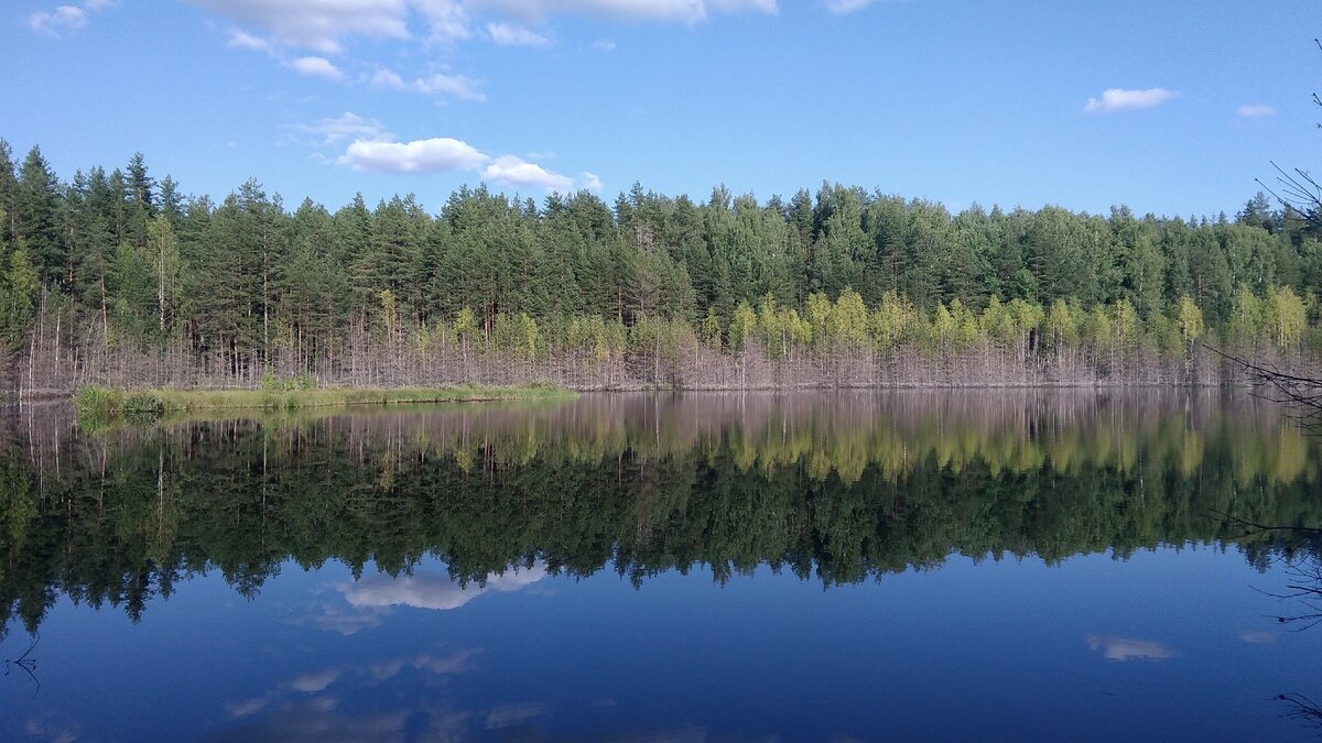 Озеро городно новгородская