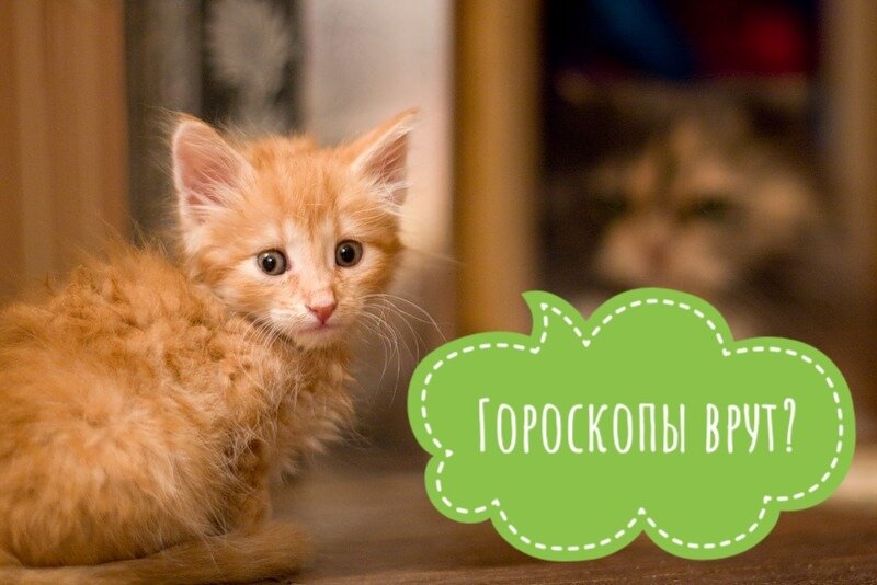 фото из личного архива