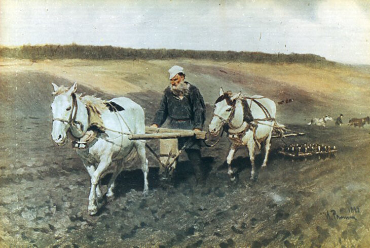 Фото Яндекс картинки