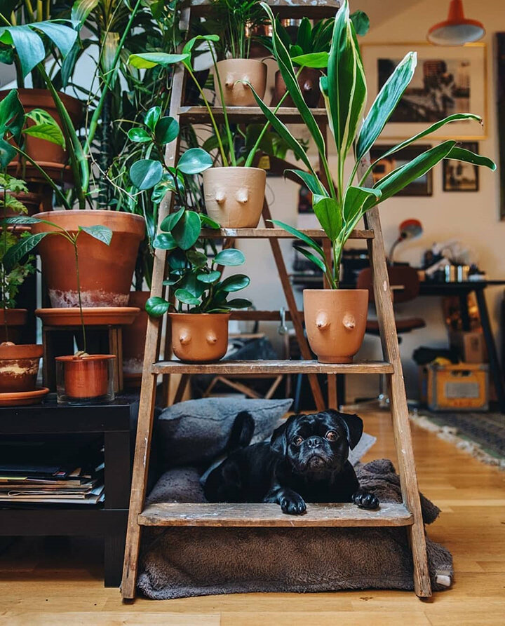 городские джунгли. urban jungle