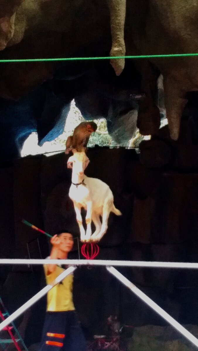 Фото автора, Китай