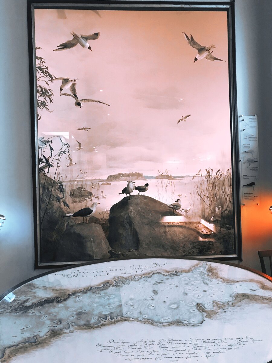 Экспозиция замка