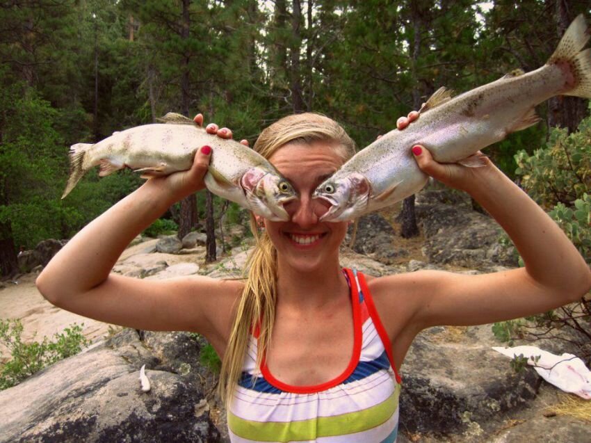 Источник фото - сайт https://clck.ru/S454L