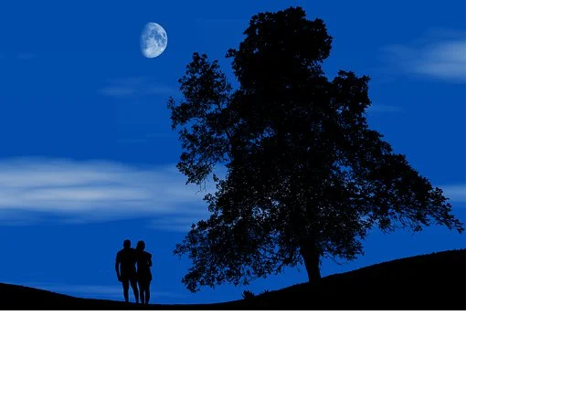 Изображение с сайта pixabay.com