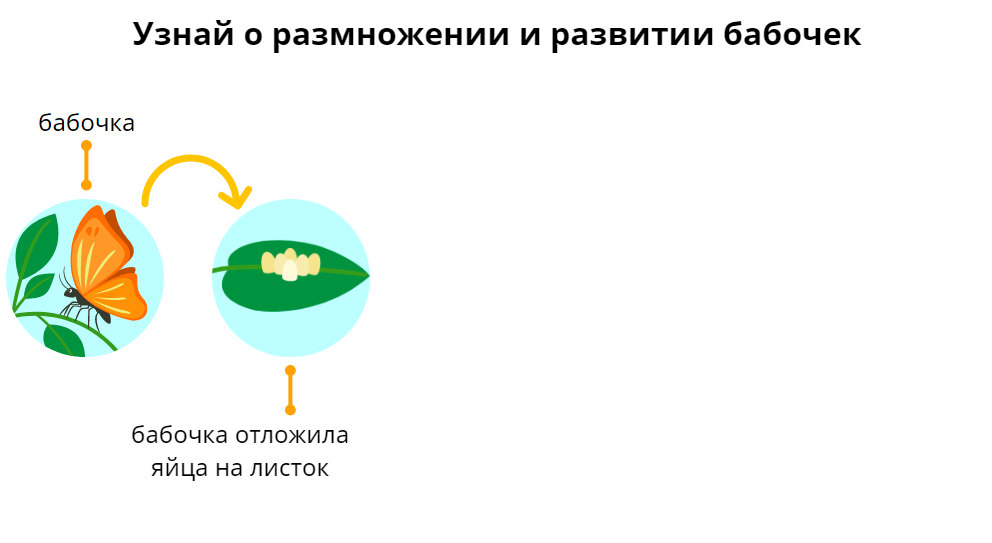 Уууу! Что потом?
