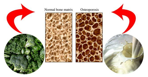 Источник: Яндекс.Картинки