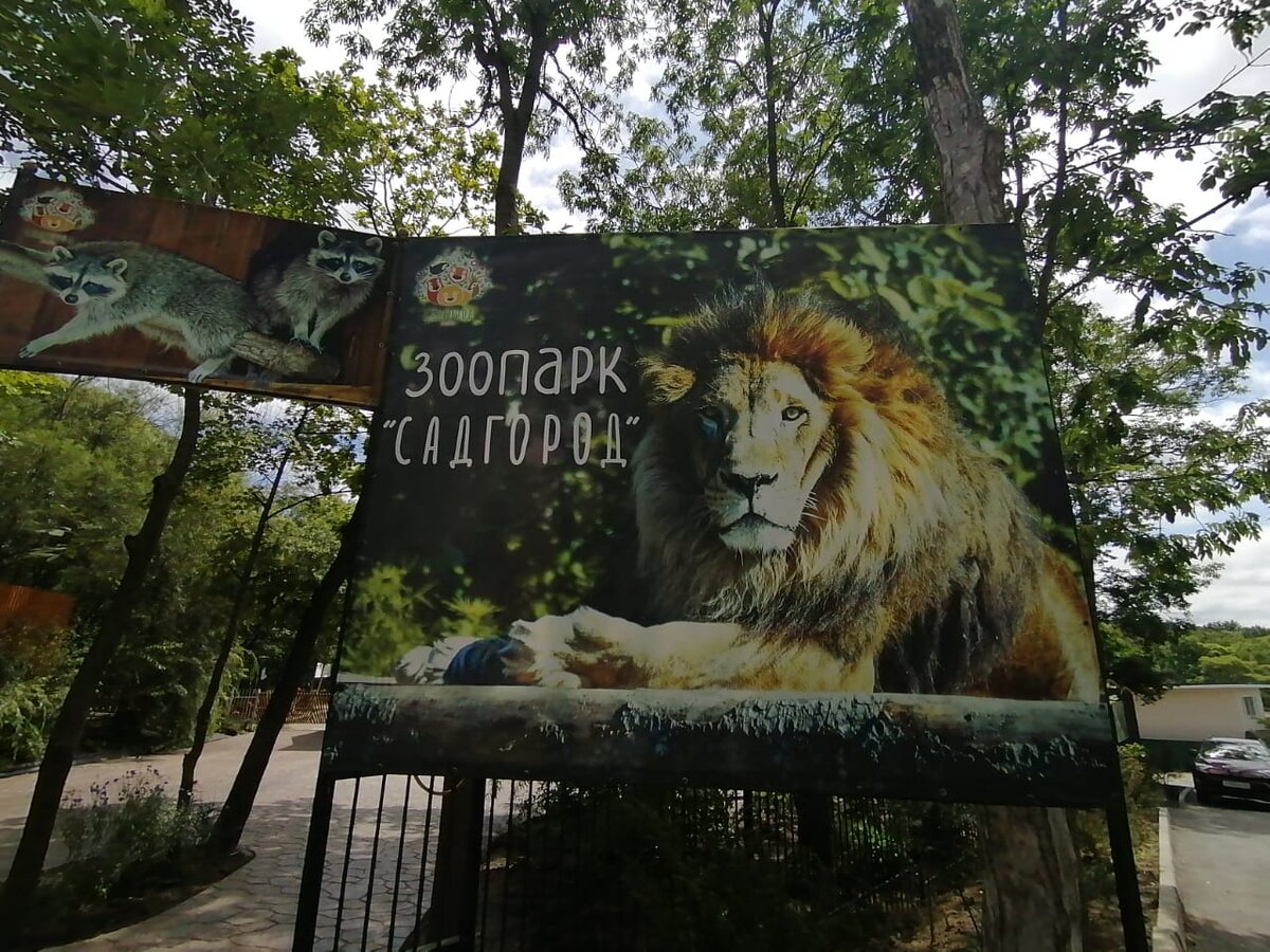 Московский зоопарк рисунок