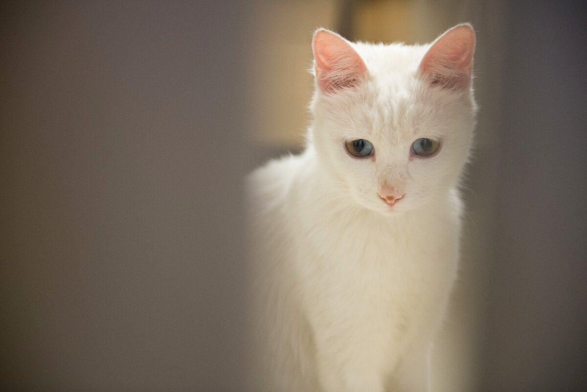 Источник Яндекс картинки