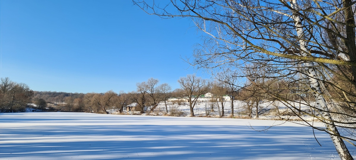 Большой пруд