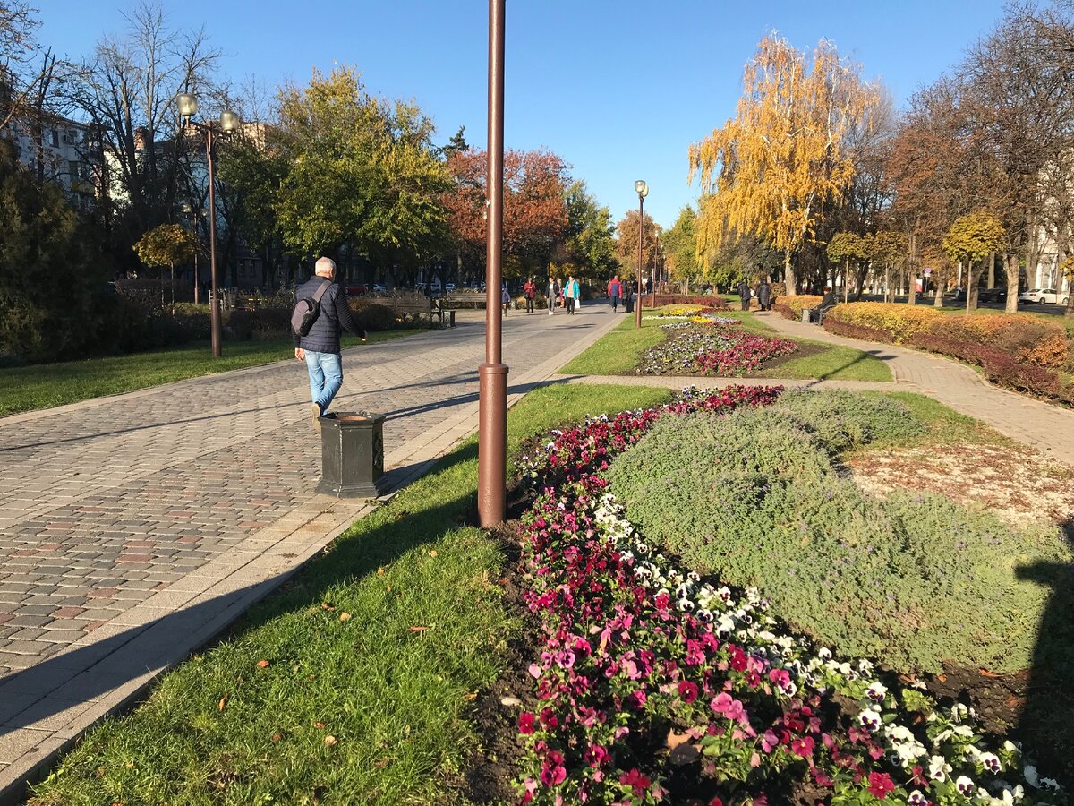 Погода в краснодаре на 10 дней гисметео