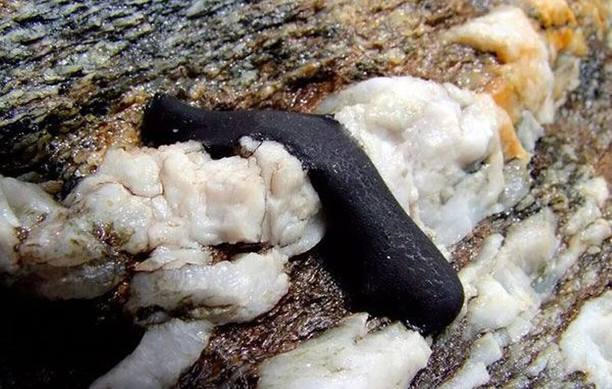 фото из открытых источников