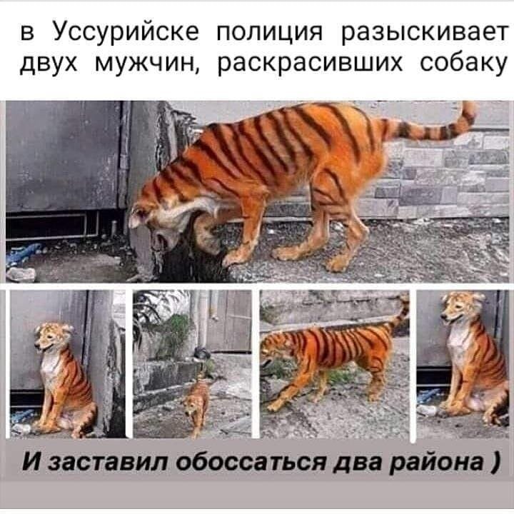 Фото с Инстаграм 