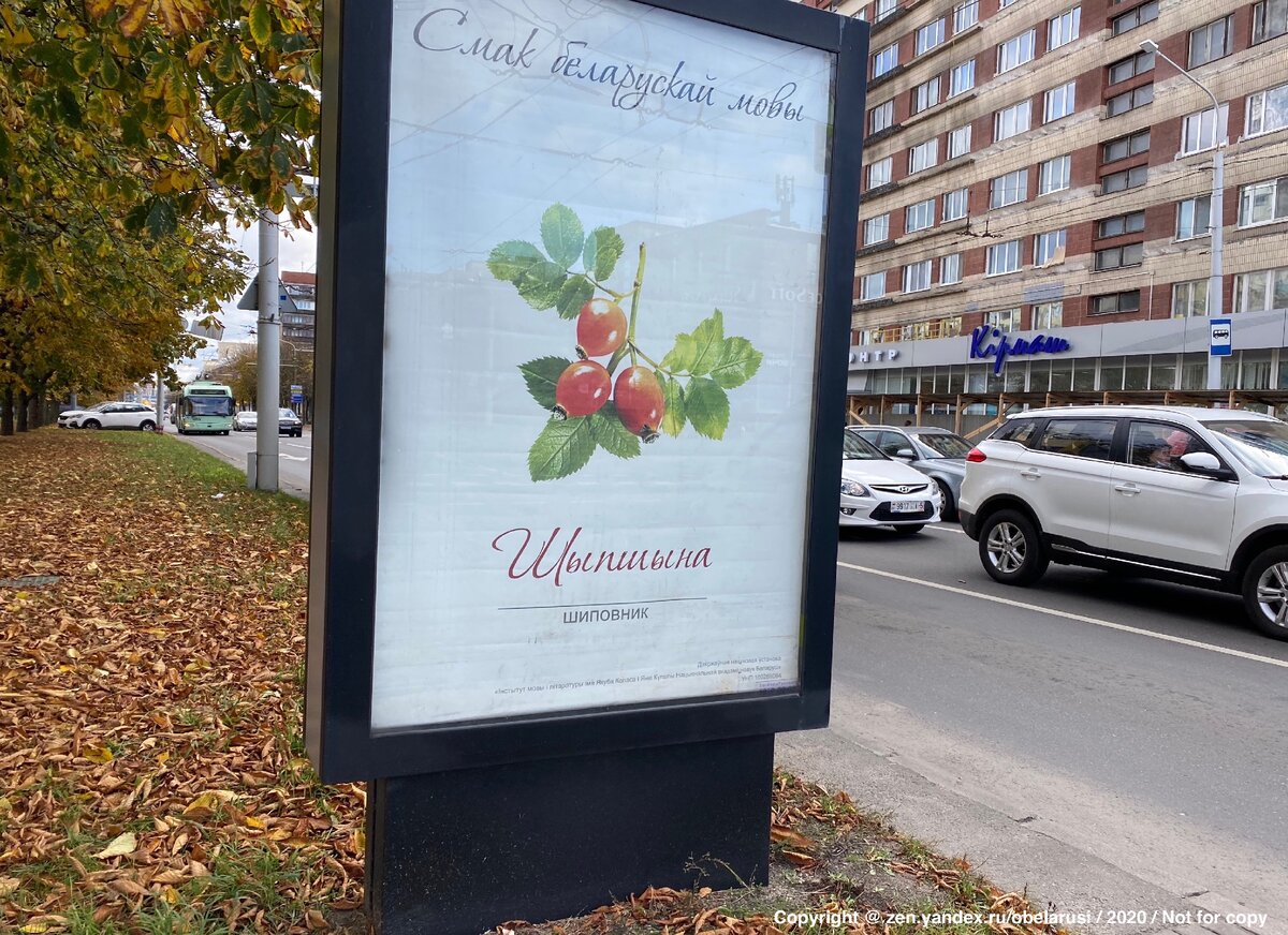 Во многих белорусских городах стоят такие стенды, посвящённые разным необычным словам белорусского языка. Например, "шиповник" по-белорусски будет "шыпшына". 