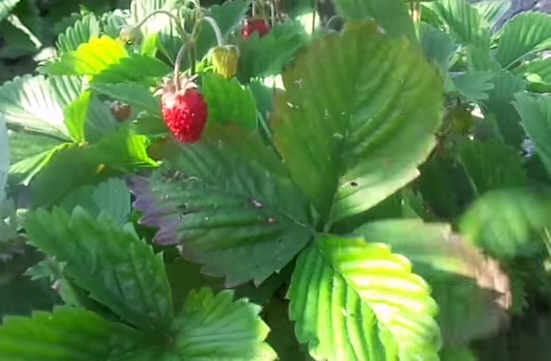 Фото сделано в 2018 г