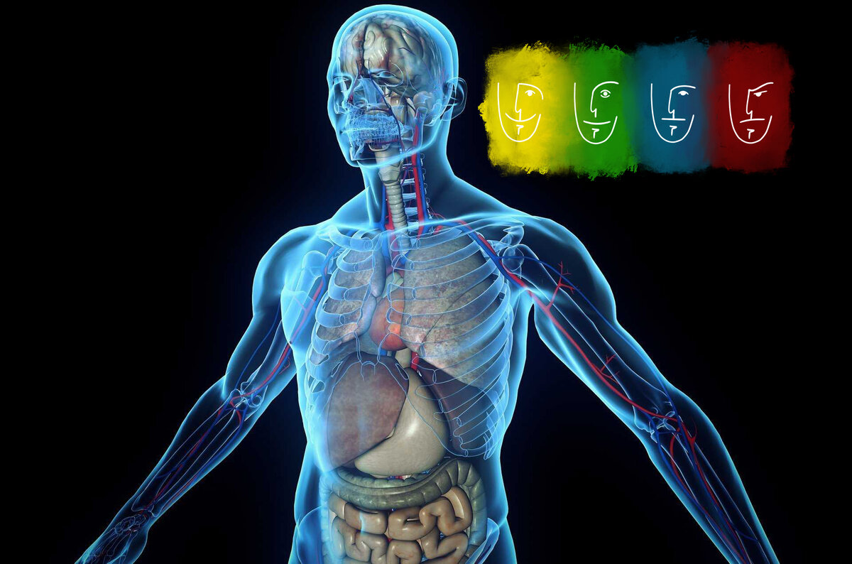 Алкоголь разрушает организм быстро, восстанавливать приходится очень долг