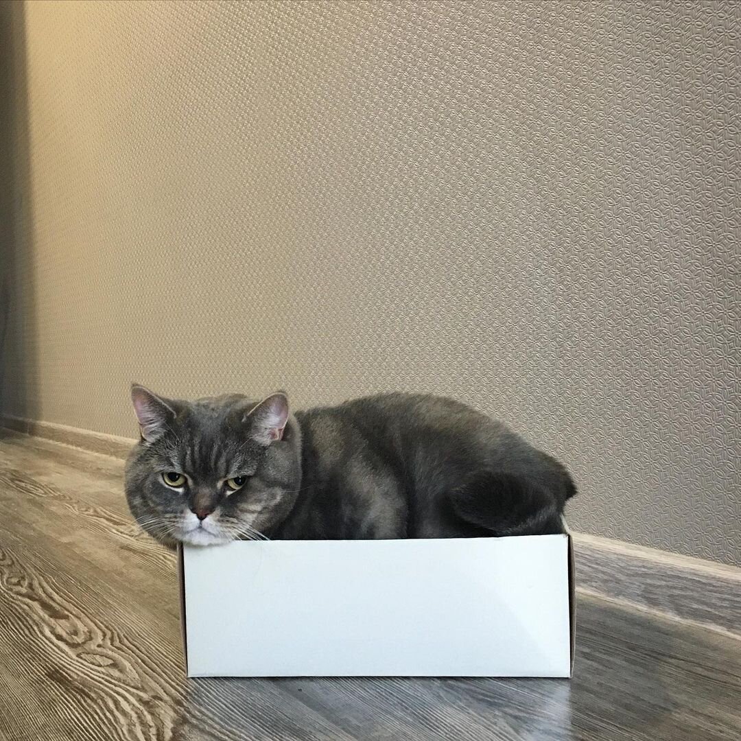 Чуть-чуть маловата будет, но не страшно