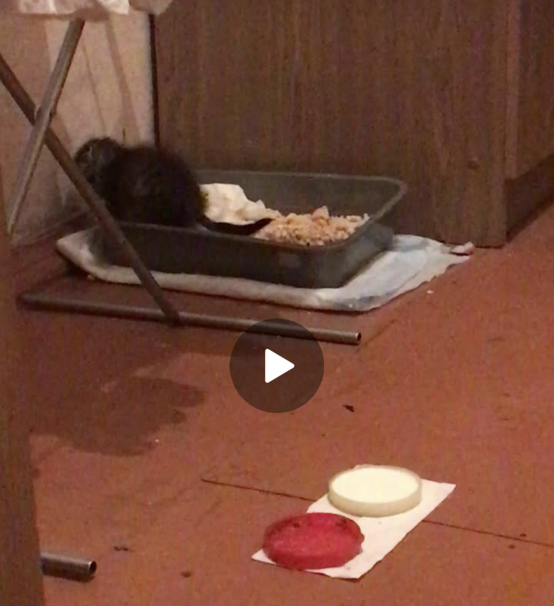 Скрин из видео 