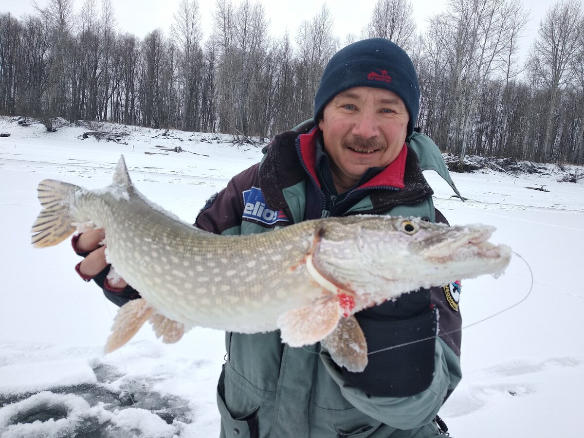 Щука пойманная за подводным барханом.