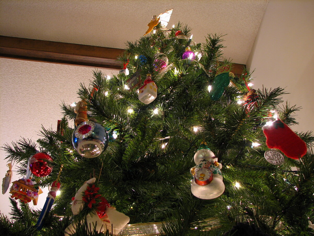 Картинка из сети интернет для иллюстрации