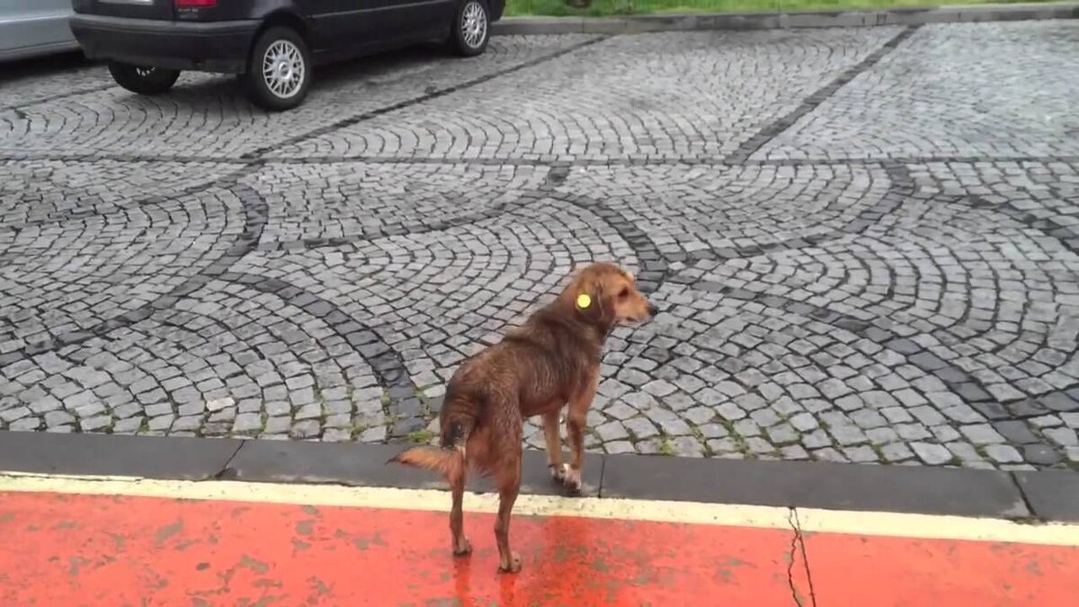 Фото с Яндекс.Картинки