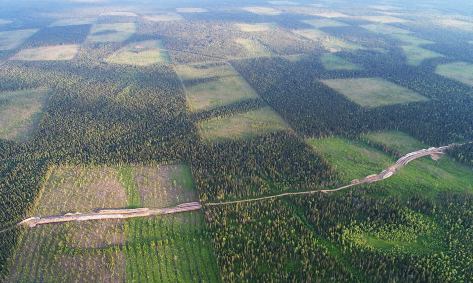 Фото: https://bryansktoday.ru/