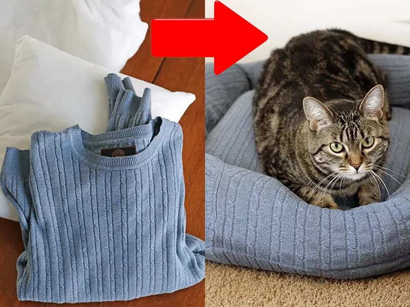 Лежанка для кота из старого свитера своими руками