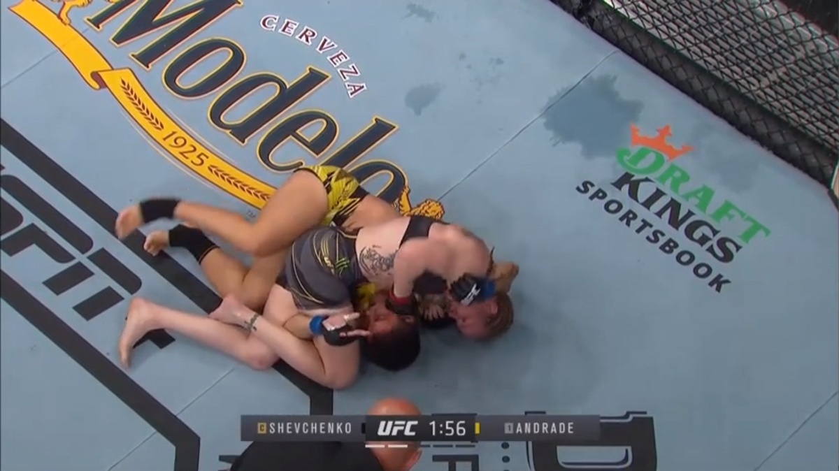 Валентина Шевченко побеждает техническим нокаутом