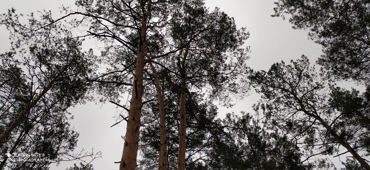 Личное фото автора.