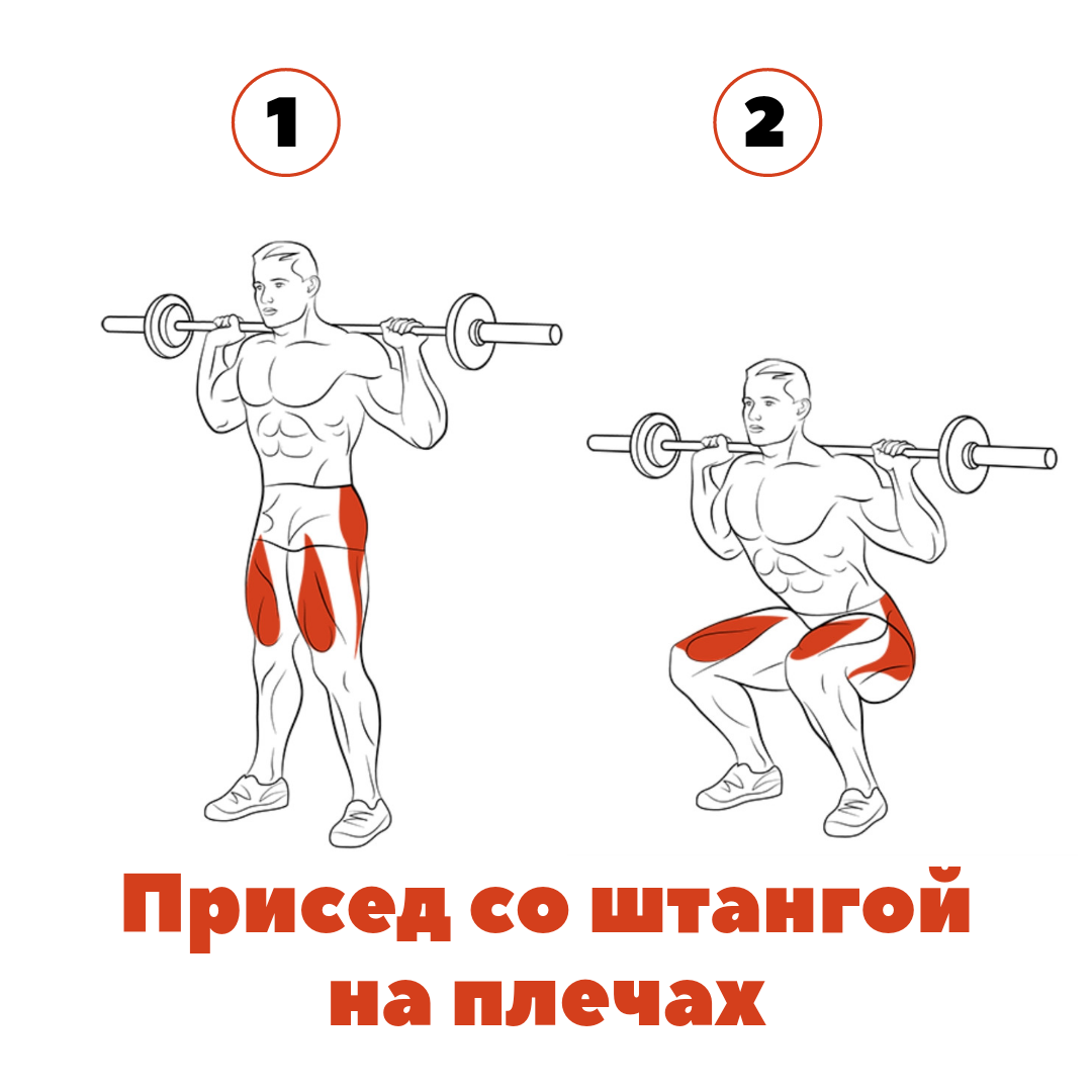 Присед со штангой на плечах