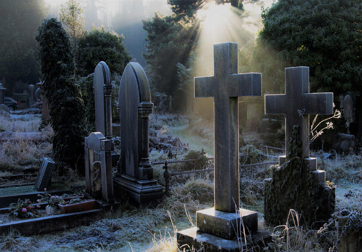 Источник: Яндекс. Картинки