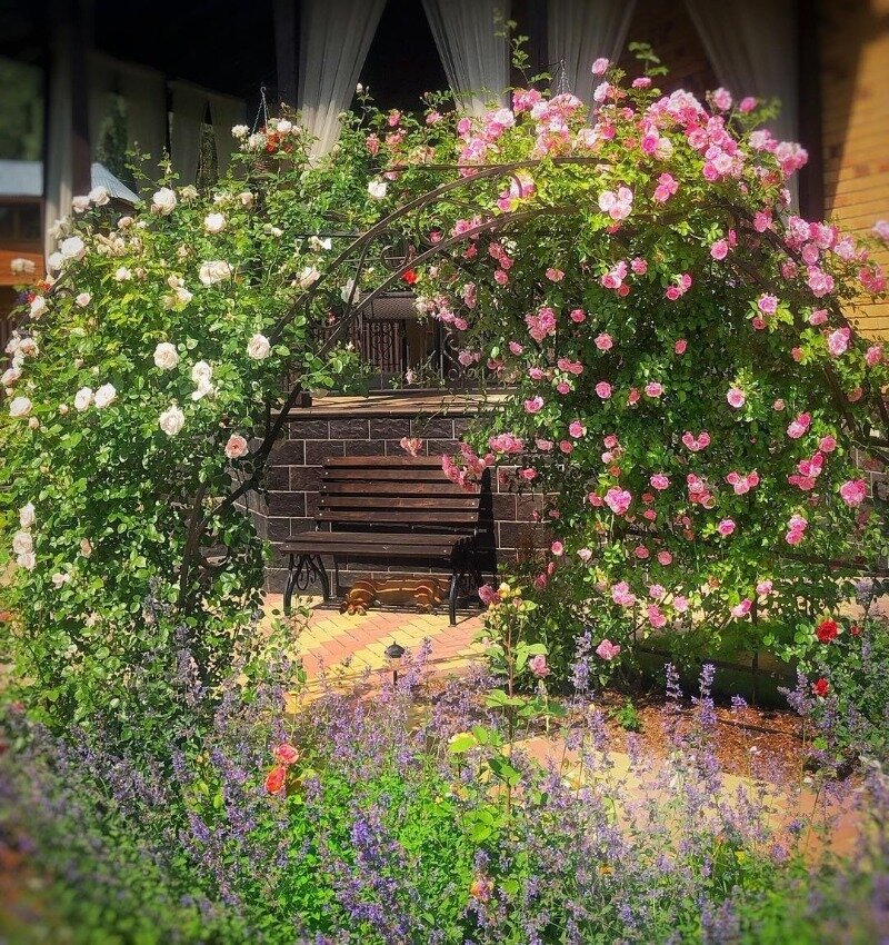 Фото https://www.instagram.com/p/B7lVd3gnKB0/