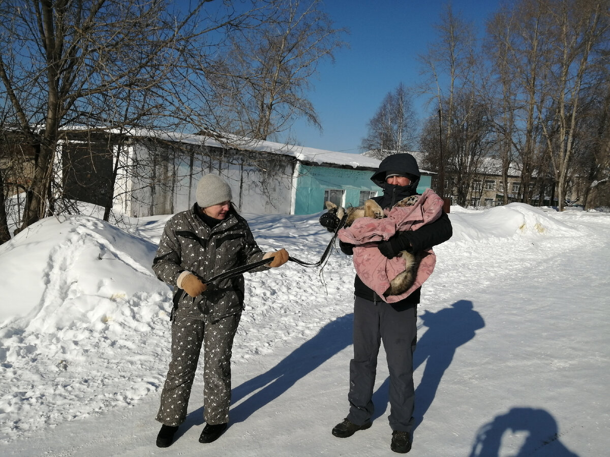 Поймали собаку с больной лапой. Теперь это наша Ладушка