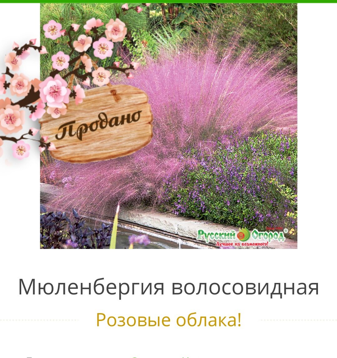 Фото с сайта ncsemena. ru