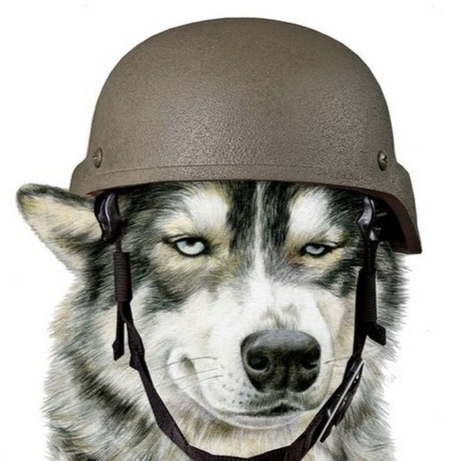 Да, не маламут, ну и что собственно? фото из открытого источника. 