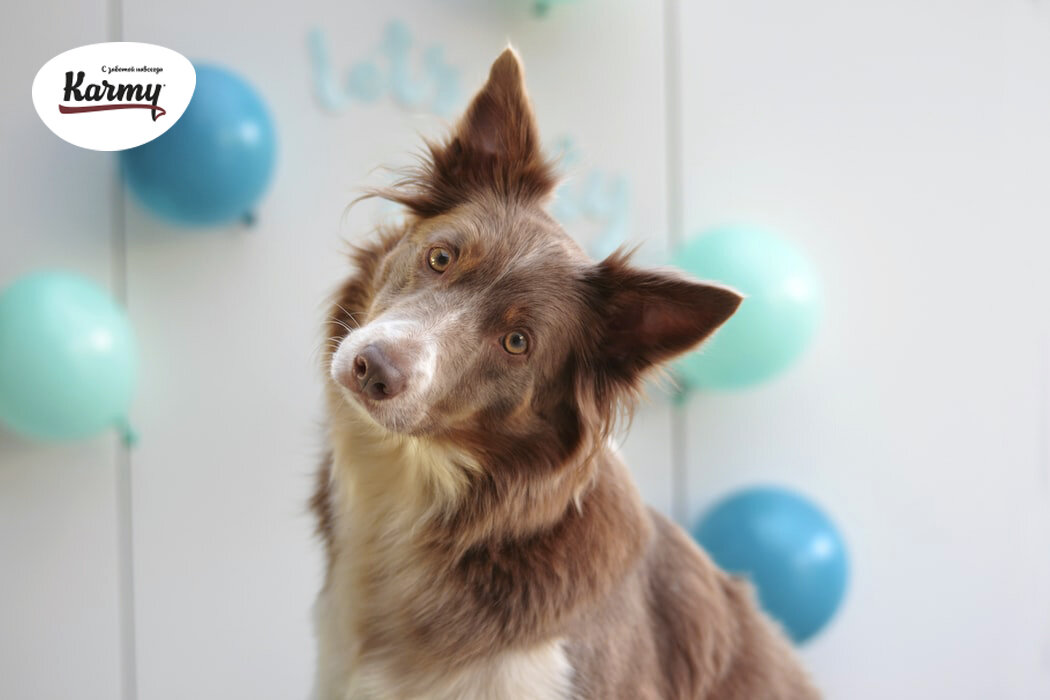 Авторское изображение с использованием картинки с фотостока "Unsplash"